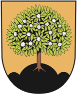 Město Nasavrky