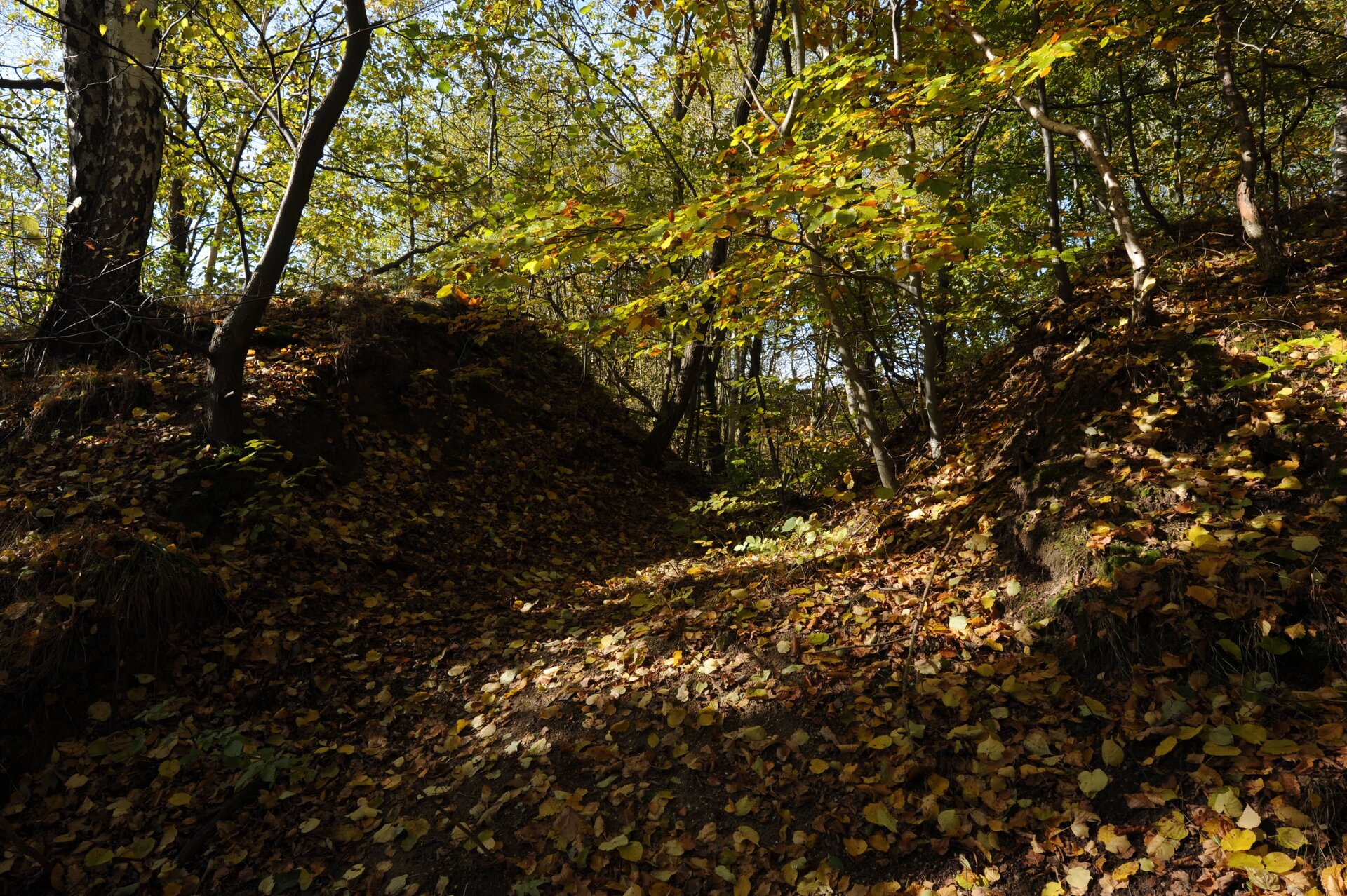 Naučná stezka Železnými horami, 2009