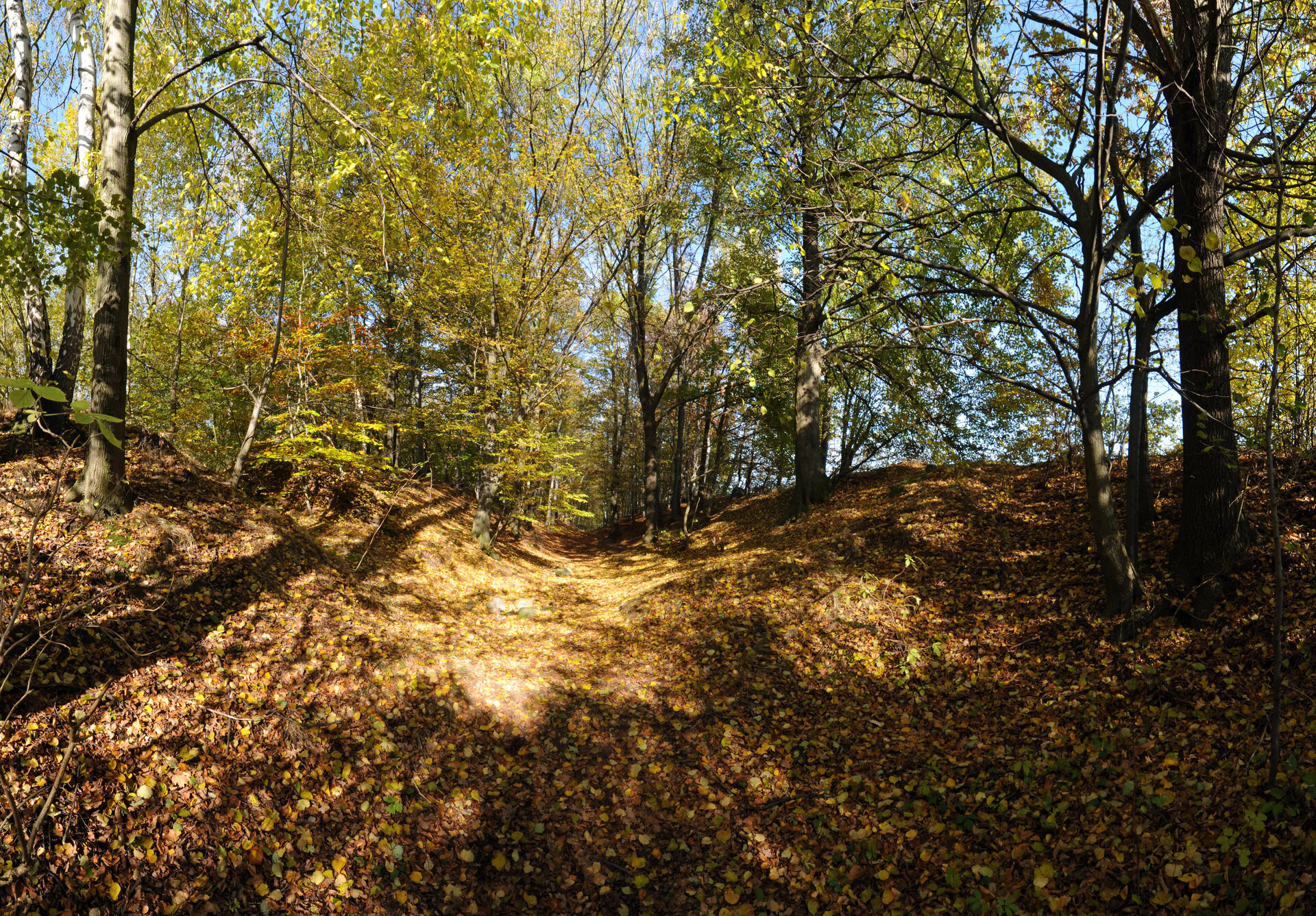 Naučná stezka Železnými horami, 2009